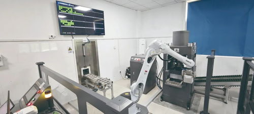 向綠而生 湖北交投集團積極培育發(fā)展新質生產(chǎn)力