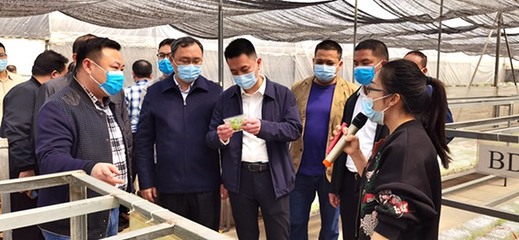 自治區發展改革委定點幫扶都安縣駐村工作隊赴南寧市、百色市開展鄉村振興調研