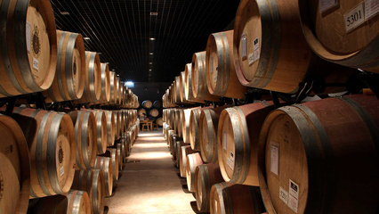 永寧縣:筑強現(xiàn)代化產(chǎn)業(yè)體系 推進葡萄酒高質(zhì)量發(fā)展