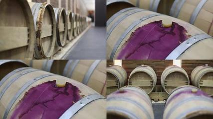 葡萄酒加工葡萄酒加工AE模板下載_光廠(VJ師網)