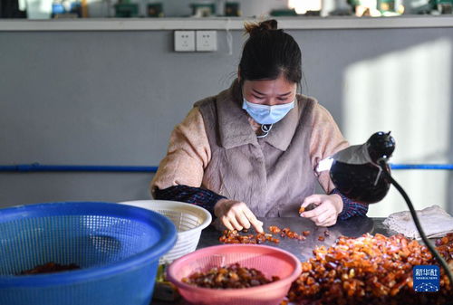 新華全媒 丨走進海南自貿(mào)港 樣板間 洋浦保稅港區(qū)