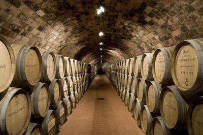 82年的拉菲為何至今仍有售？解析葡萄酒產(chǎn)量與市場流通的奧秘