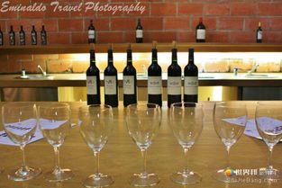 波爾多紅酒之魂 梅多克產(chǎn)區(qū)的葡萄酒銷售與市場魅力